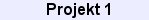 projekt1