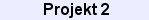 projekt2