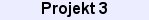 projekt3